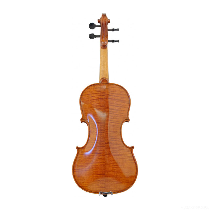 Фото Karl Hofner AS-160 4/4