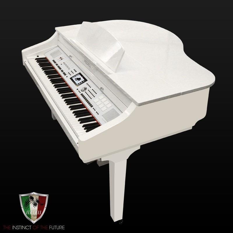 Фото MEDELI GRAND500 (GW)  Цифровой рояль