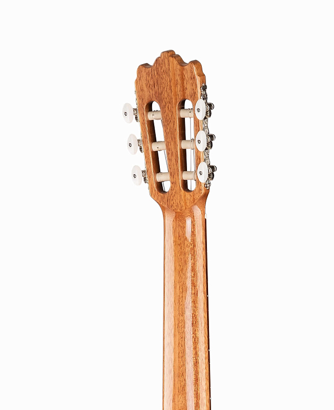Фото Alhambra 6.856 Cutaway 3 C CT