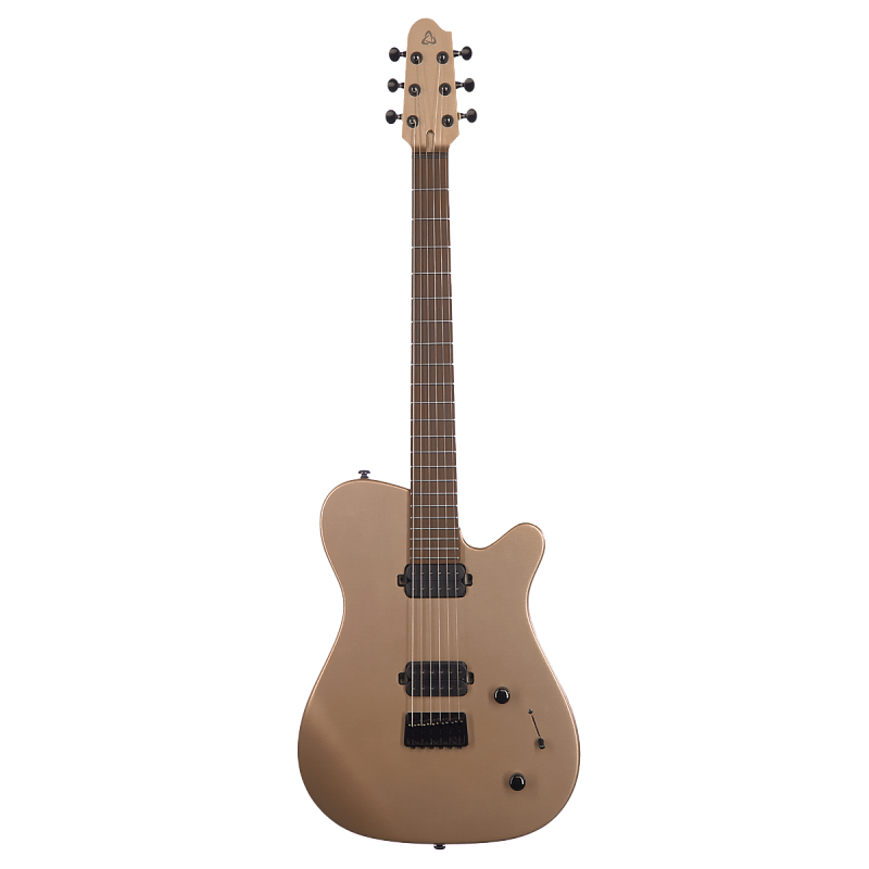 Фото Электрогитара Covenant CUSTOM MODEL AE MGD в чехле с аксессуарами