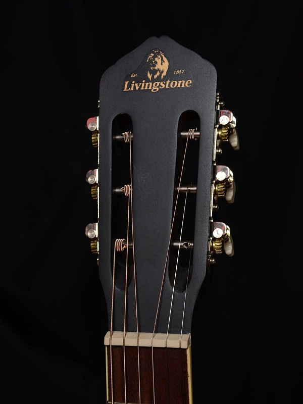 Фото Гитара Livingstone Folkblues BK 39" с вырезом