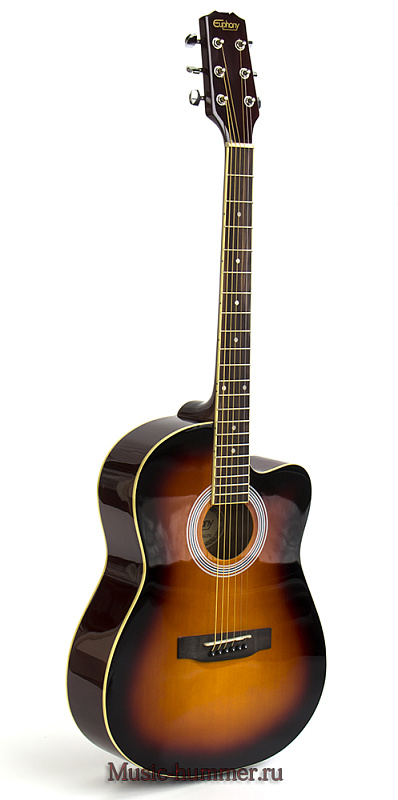 Фото Акустическая гитара Euphony EW 100C 