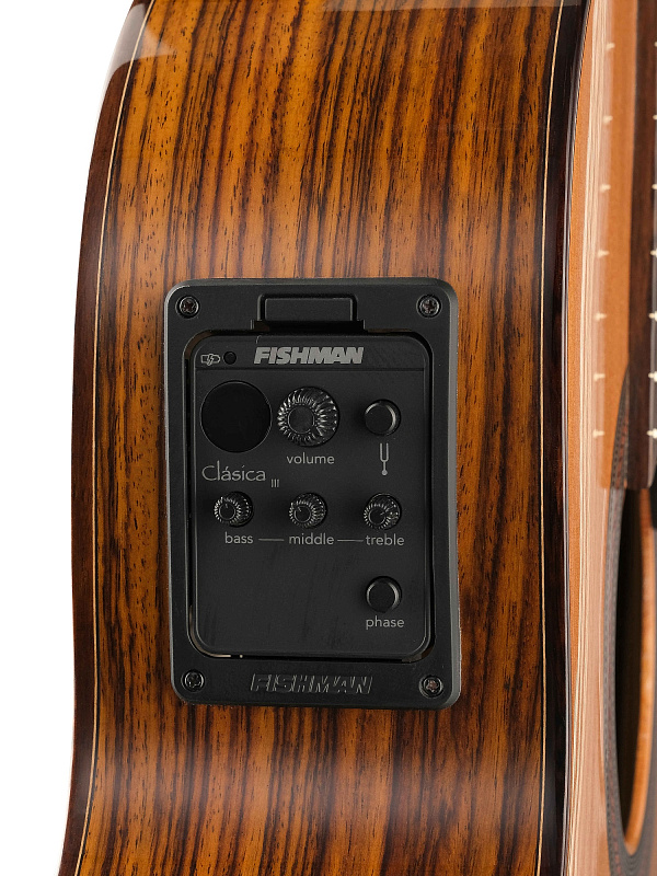 Фото Электро-акустическая гитара Kremona F65CW Performer Series Fiest