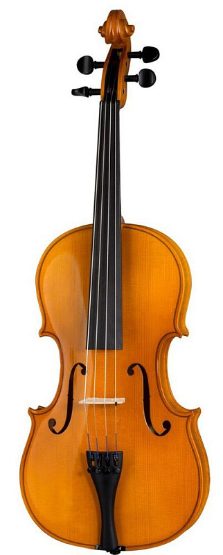 Фото Karl Hofner H11-V 3/4