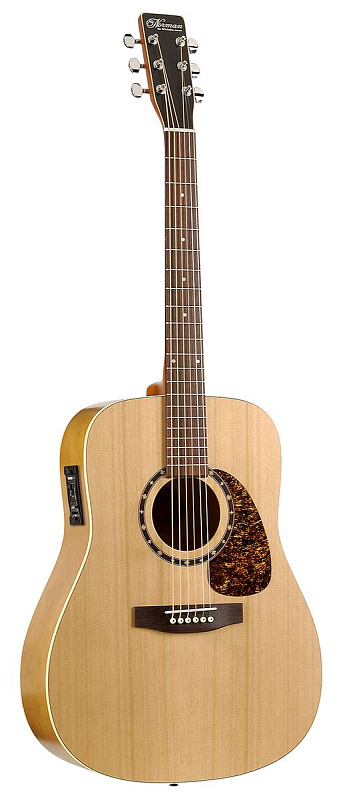 Фото Norman PROTEGE B18 CEDAR PRESYS