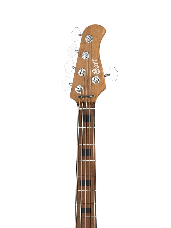 Фото Бас-гитара Cort GB-Modern-5-OPCG GB Series