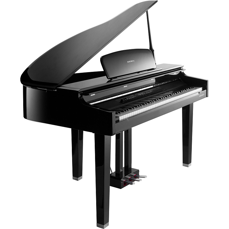 Фото Kurzweil CGP220