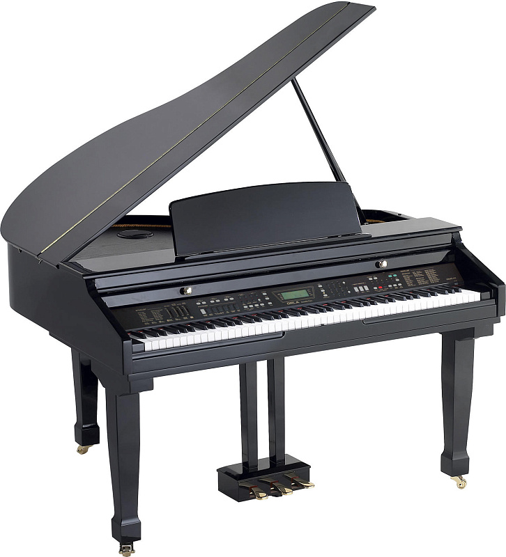 Фото Orla Grand 310 Black Цифровой рояль
