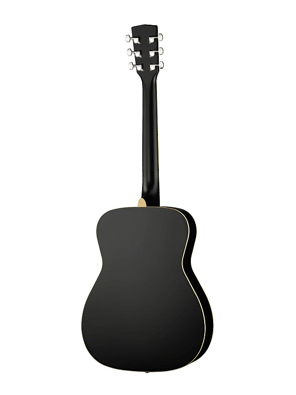 Фото Акустическая гитара Parkwood PF51-WBAG-BKS