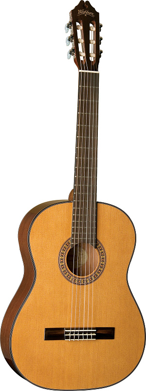 Фото WASHBURN C5