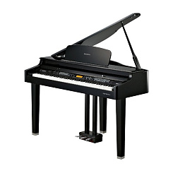 Kurzweil MPG100
