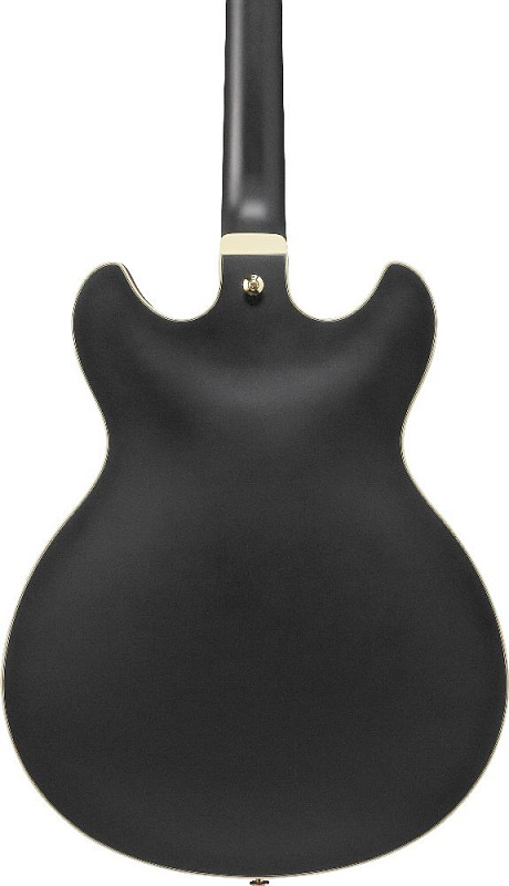 Фото Электрогитара IBANEZ AS73G-BKF