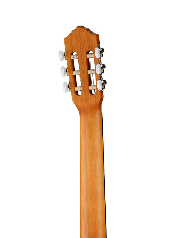 Фото Классическая гитара Ortega R121L Family Series